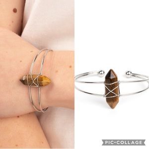 🐾Terra Transcendence 🐾